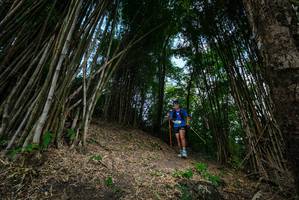 BIB: 
                            <button type="button" onclick="openModal(19395676)" class="btn btn-primary btn-sm float-right btn-popup" data-toggle="modal" data-target=".modal-high-quality">
                        <i class="fas fa-shopping-cart"></i> Add to Cart
                    </button>
                                            <button type="button" onclick="isThisMe(19395676, true)" class="btn btn-success btn-sm float-right btn-popup btn-isme hidden" data-toggle="tooltip" data-placement="bottom" title="นี่คือรูปของคุณใช่ไหม คลิกที่นี่เพื่อเอาเข้าอัลบั้ม">
                        <i class="fas fa-plus"></i> Add to album
                    </button>
                    <button type="button" onclick="isThisMe(19395676, false)" class="btn btn-warning btn-sm float-right btn-popup btn-isnotme hidden">
                        <i class="fas fa-ban"></i> Remove from album
                    </button>